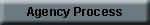 aagency-process